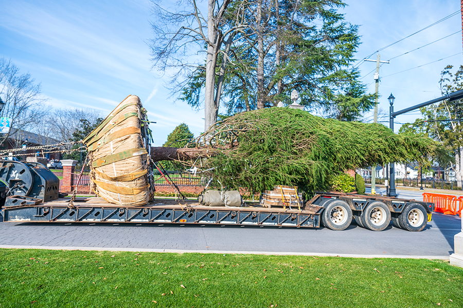 A large tree lays a trailer pulled by a truck. The truck and trailer navigate a tight driveway of a university campus.