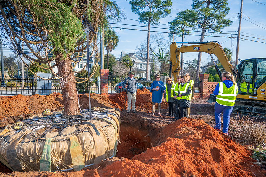 Five women, all members of a garden club, inspect a large tree that was planted on the campus of a university. A man, who owns a tree company that moved the tree, and a woman who works for the university's landscaping crew, speak to the women.