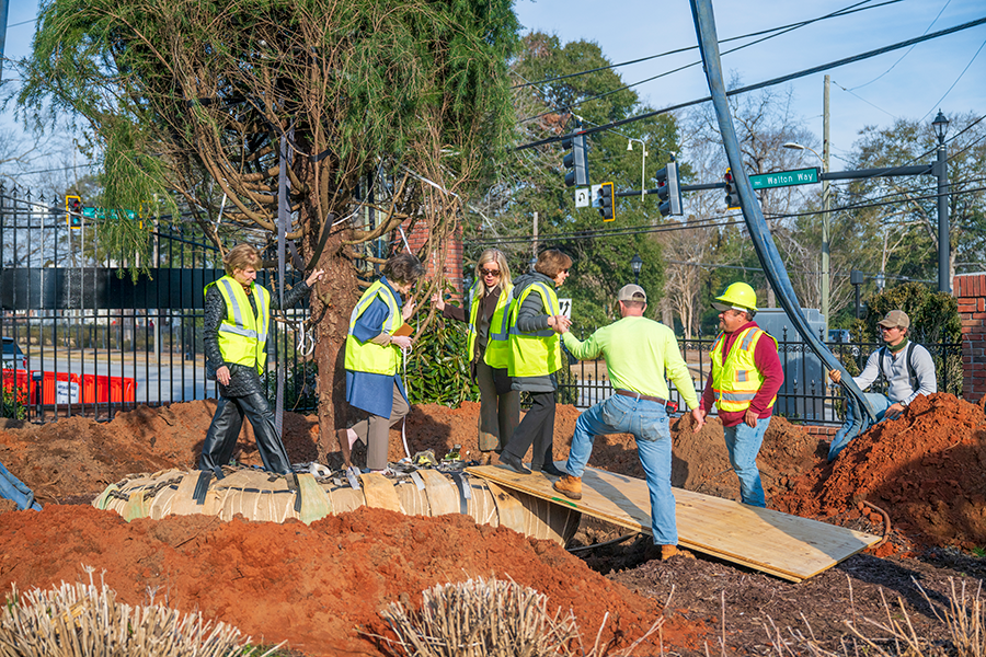 Workers help a group of women as they inspect a large tree that has been planted on the campus of a university.