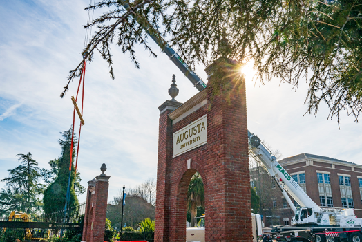 A crane places a large tree next to the entrance to a college campus. There is also a brick archway that marks the entrance.