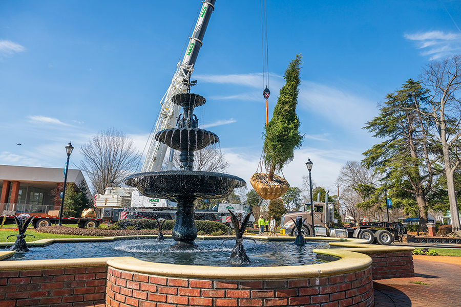 A crane lifts a large tree up in the air on the campus of a university. The crane is parked next to a fountain.