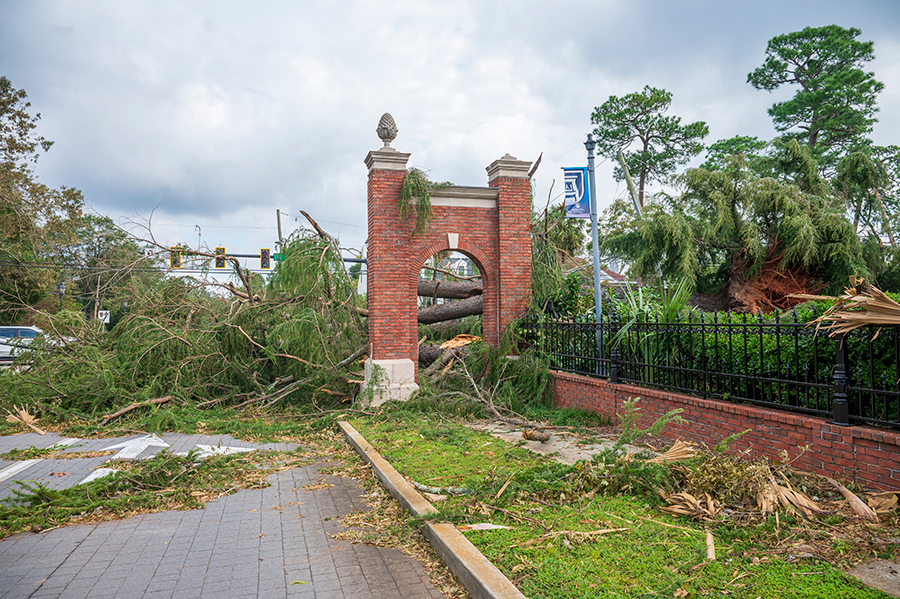 Several trees that fell during a storm cover the entrance to a college campus.