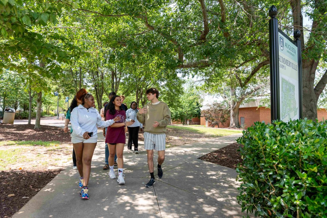 Several students walking down a shaded path.