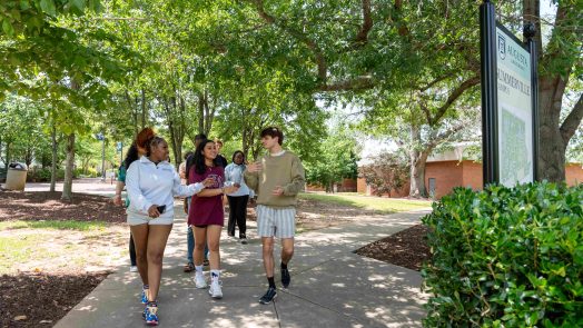 Several students walking down a shaded path.