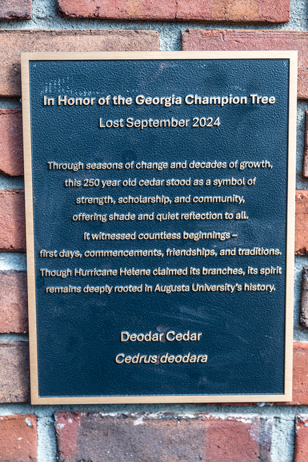 Plaque with words on brick wall