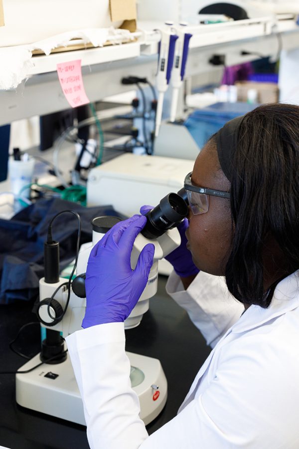 Woman looking into a microscope