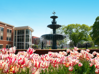 fountain with flowers and large building