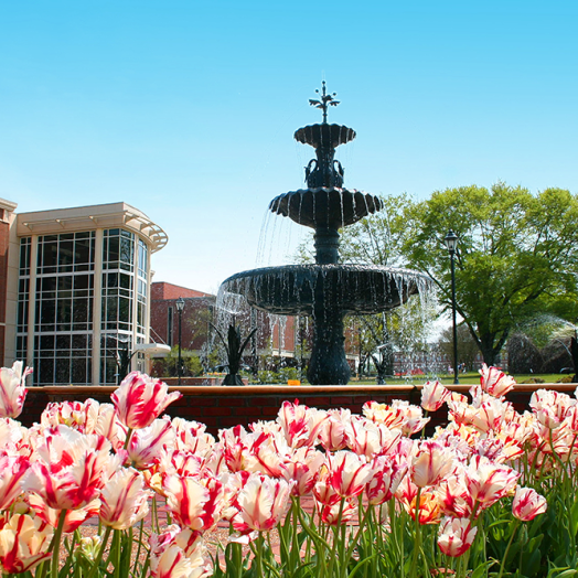 fountain with flowers and large building