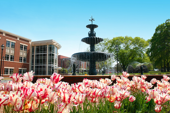 fountain with flowers and large building