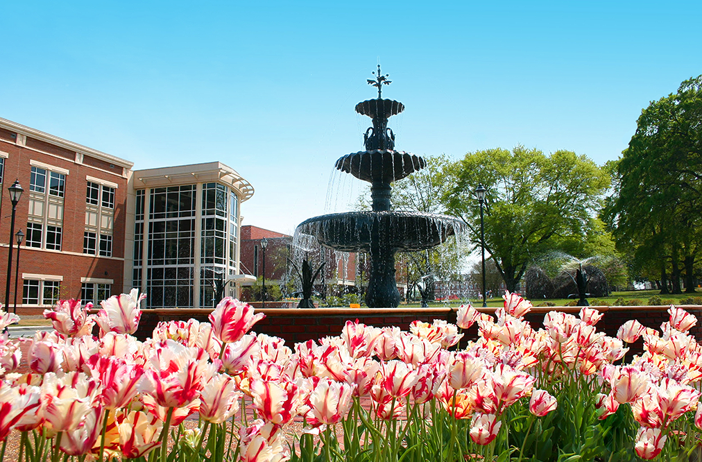 fountain with flowers and large building