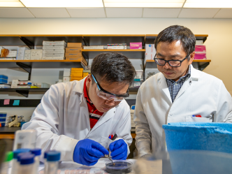 Two male scientists work in a lab. One is using forceps and other tools to move pieces of tissue onto a plate to be studied while the other supervises.