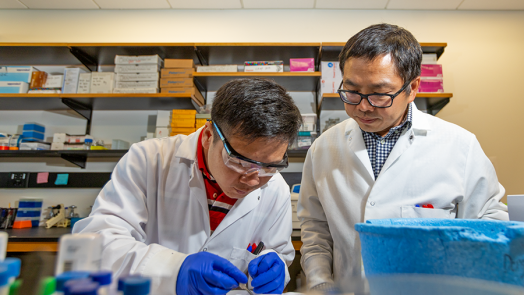 Two male scientists work in a lab. One is using forceps and other tools to move pieces of tissue onto a plate to be studied while the other supervises.