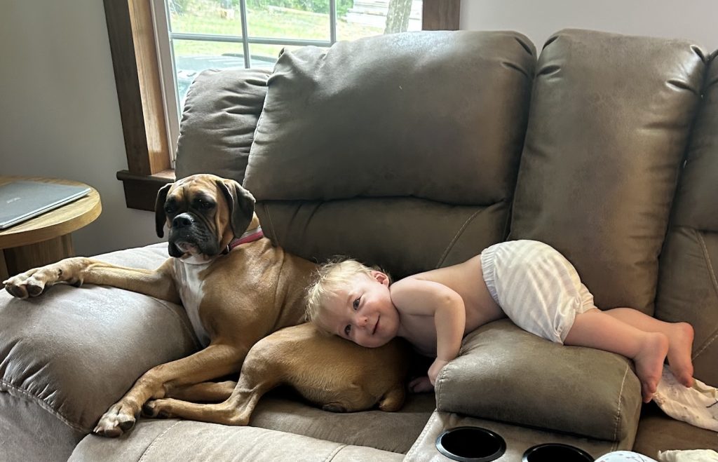 Little boy with his dog