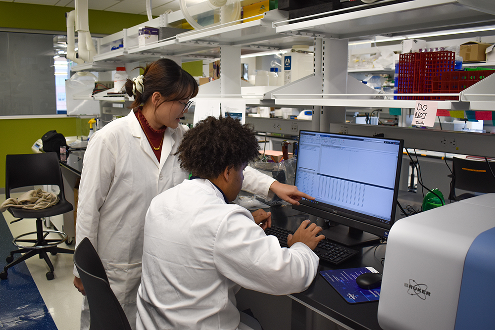 man and woman working together at a computer