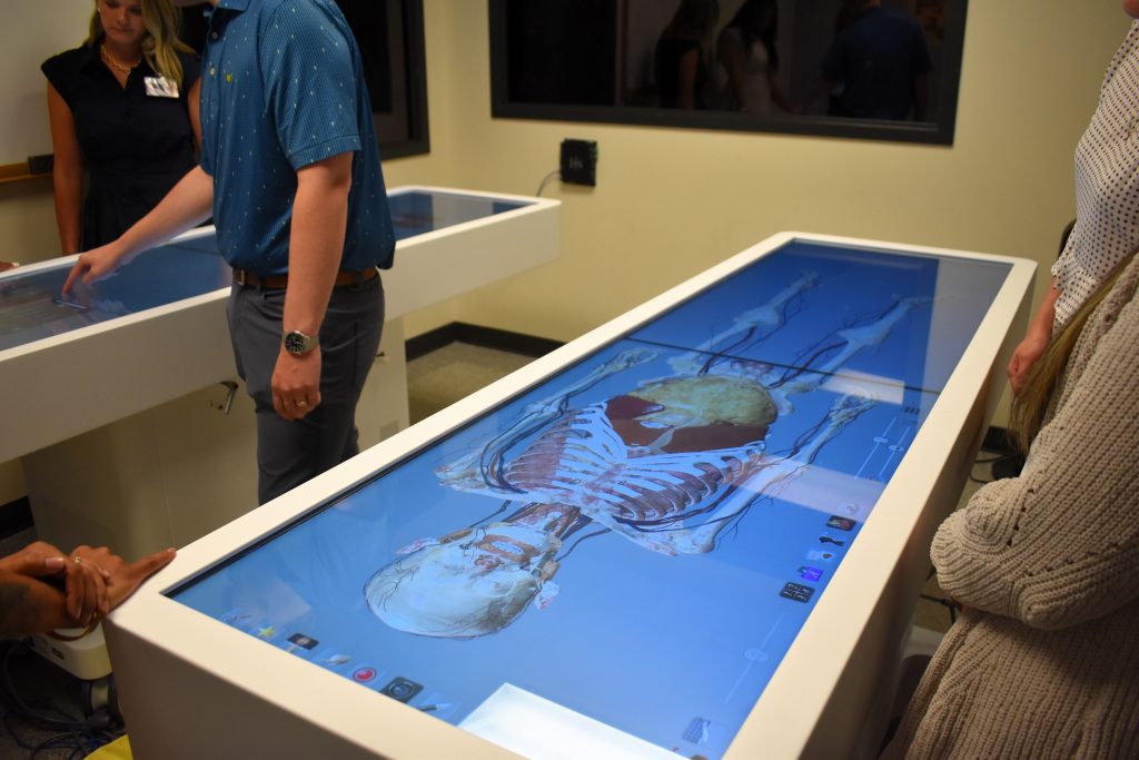 Skeletal and organ display of a cadaver on the Anatomage table