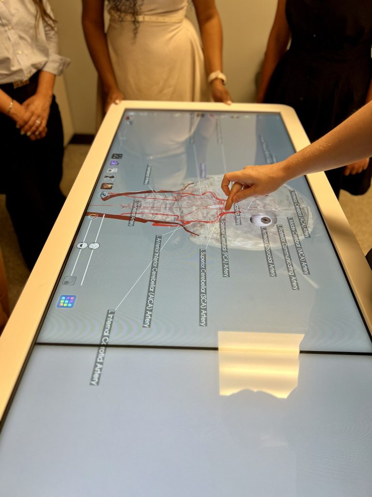 A hand works the anatomage table screen, showing the bones and nerves of the human head and eyes