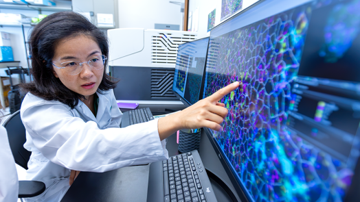 A female scientist points to a screen that shows an extreme closeup of cells in human blood.
