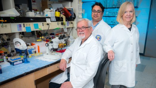 Two men and a woman standing in a lab