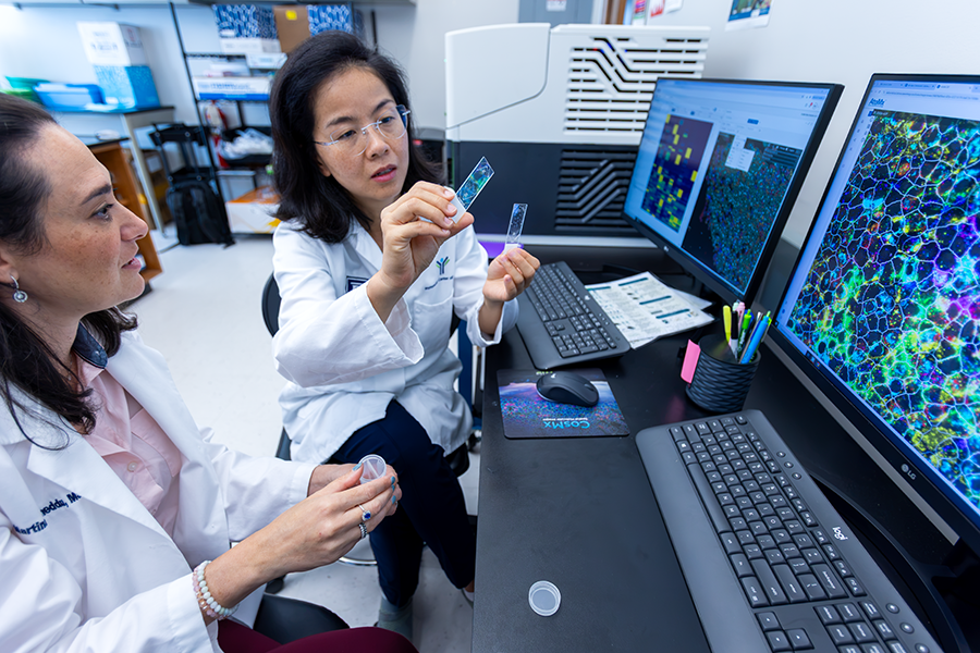 Two female scientists look at slides and their images on a large screen to analyze a scientific experiment identifying cells and their roles in cancer.